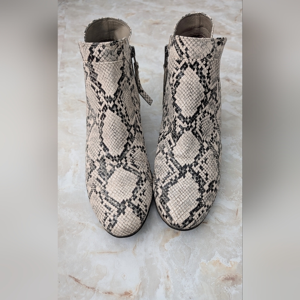 Circus by Sam Edelman Snake-Print Ankle Boots - Beige & Black Sz 8.5